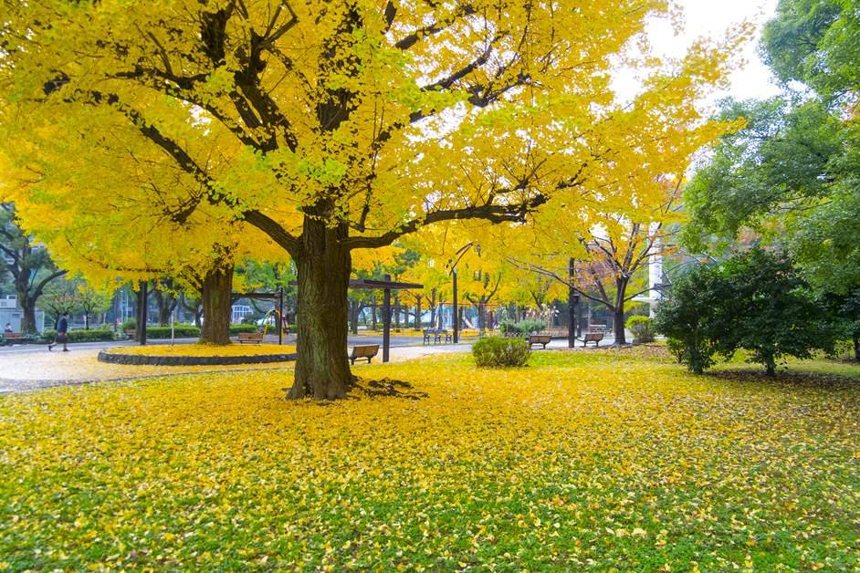 ⛩️ 시바 동조궁 (시바 토쇼구) 이미지 3